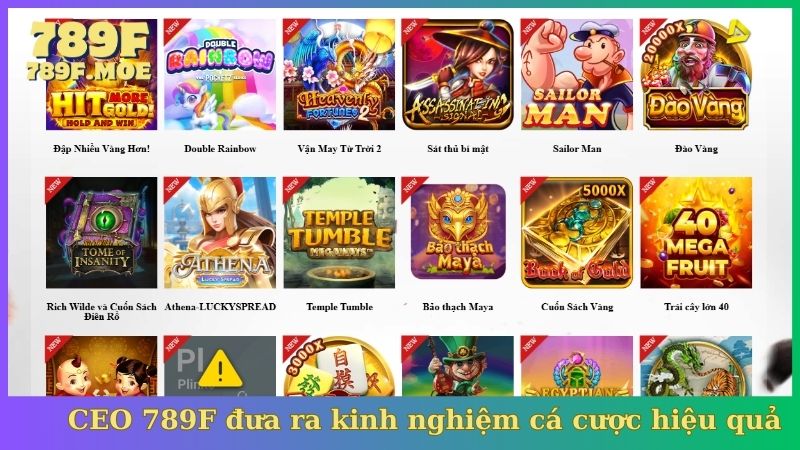 CEO 789F đưa ra kinh nghiệm cá cược hiệu quả