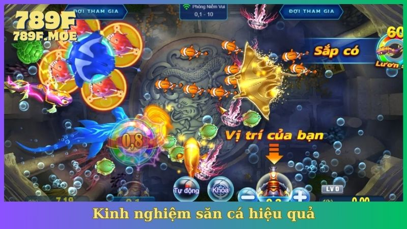 Kinh nghiệm săn cá hiệu quả