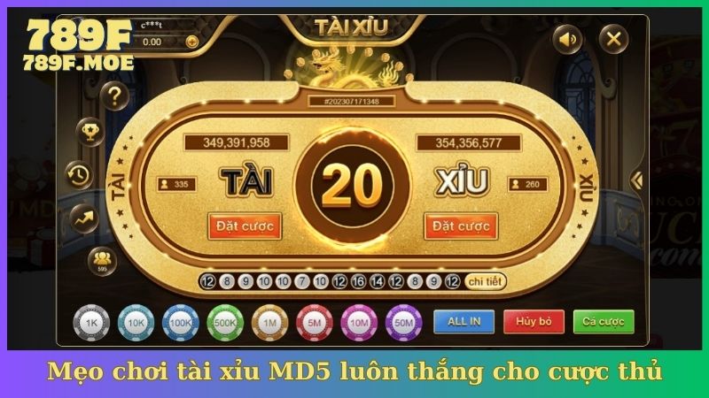 Mẹo chơi tài xỉu MD5 luôn thắng cho cược thủ