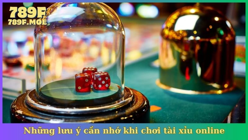 Những lưu ý cần nhớ khi chơi tài xỉu online