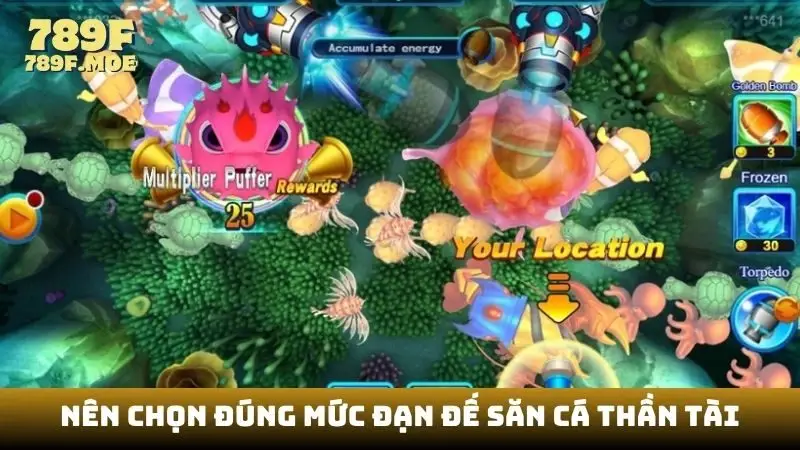 Nên chọn đúng mức đạn đế săn cá thần tài