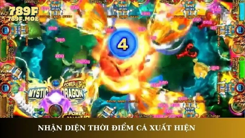 Nhận diện thời điểm cá xuất hiện