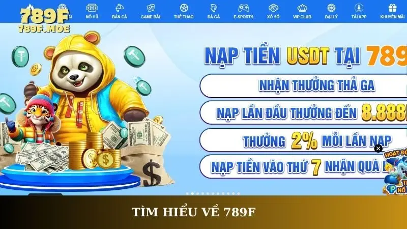 Tìm hiểu về 789F